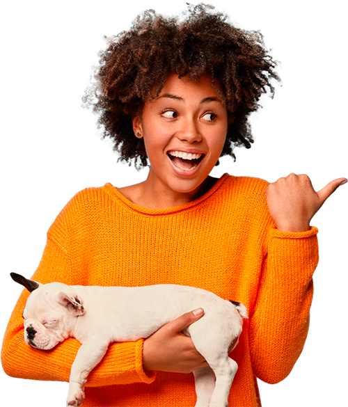mulher São Paulo – Vitalpet Brasil – Google Ads